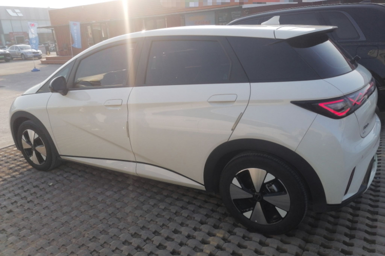 比亚迪 海豚 2023款 420km 时尚版车身外观4