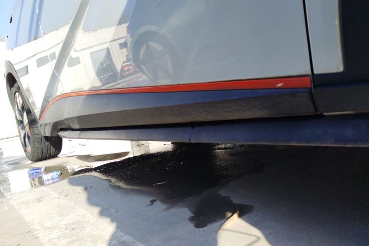 比亚迪 海豚 2021款 401km 骑士版局部细节9001