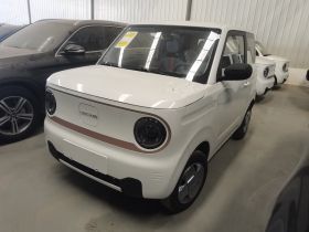 吉利银河 2024款 熊猫mini 200km 耐力熊