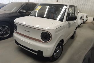 吉利银河 2024款 熊猫mini 200km 耐力熊