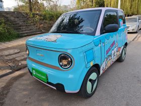 吉利银河 2024款 熊猫mini 200km 龙腾PRO版