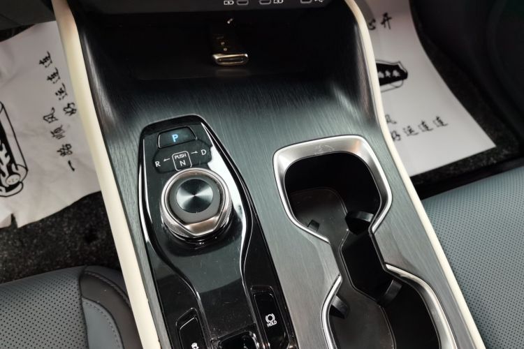 雷克萨斯RZ 2023款 450e 四驱纵享版局部细节18