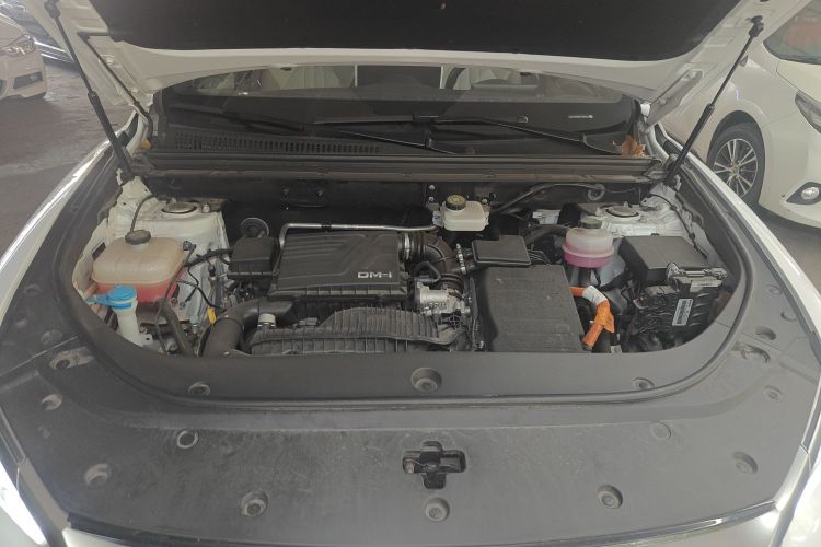 比亚迪 宋Pro新能源 2023款 冠军版 DM-i 110KM卓越型局部细节24