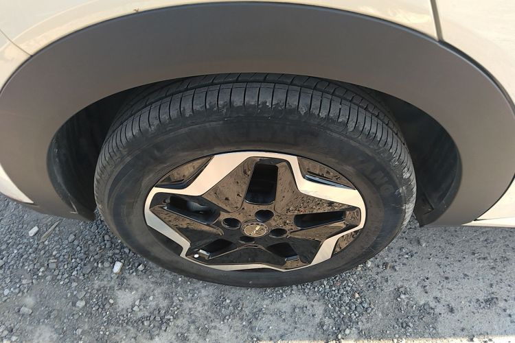 比亚迪 海豚 2021款 405km 时尚版车身外观6001