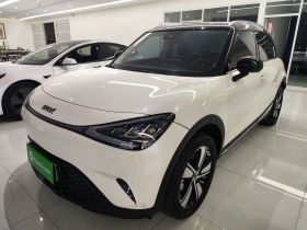 smart精灵#1 2024款 灵动标准版