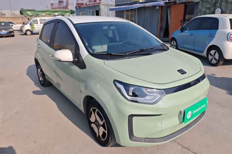 思皓 2022款 花仙子款 四叶草车身外观3