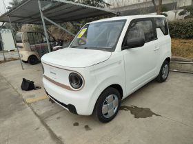 吉利银河 2024款 熊猫mini 200km 耐力熊