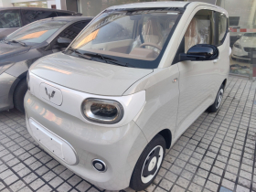 五菱汽车 宏光MINIEV 2024款 第三代 215km 青春版