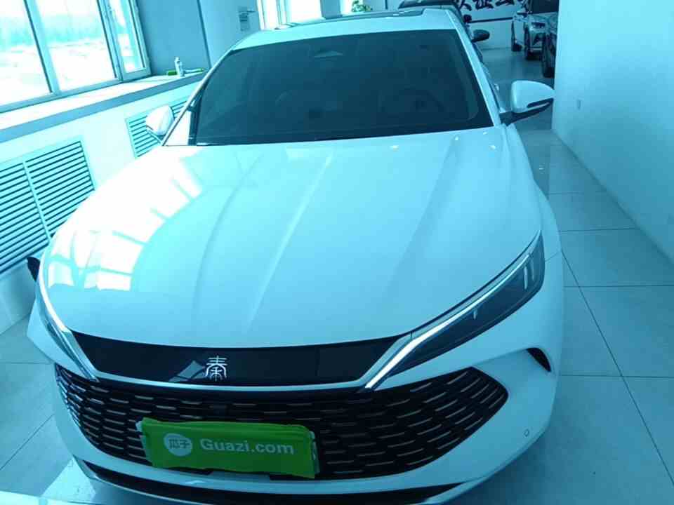 比亚迪 秦L 2024款 DM-i 120KM超越型(1)