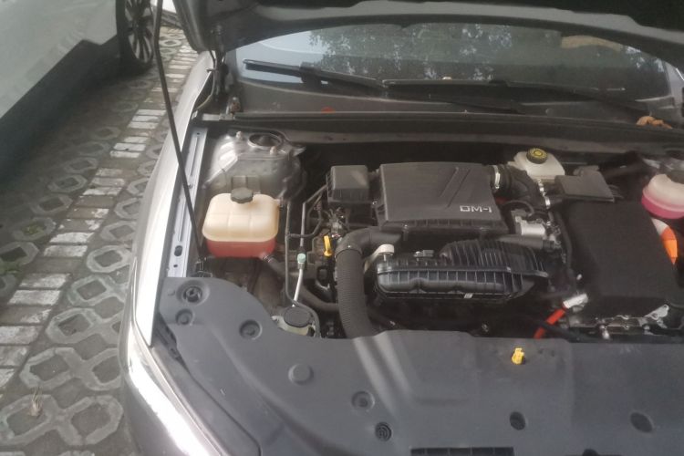 比亚迪 秦PLUS 2023款 冠军版 DM-i 55KM超越型局部细节9006