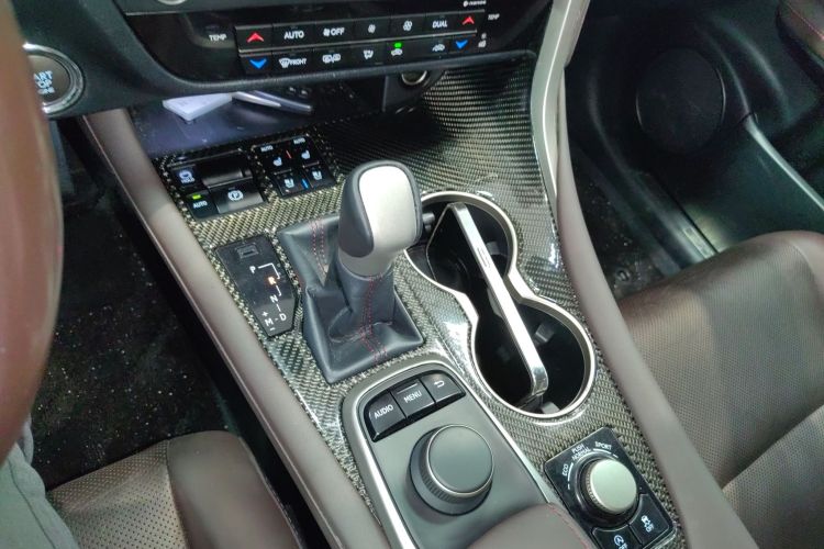 雷克萨斯RX 2016款 300 四驱典雅版 国V局部细节18