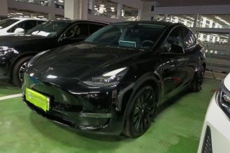 特斯拉 Model Y 2021款 标准续航后驱版