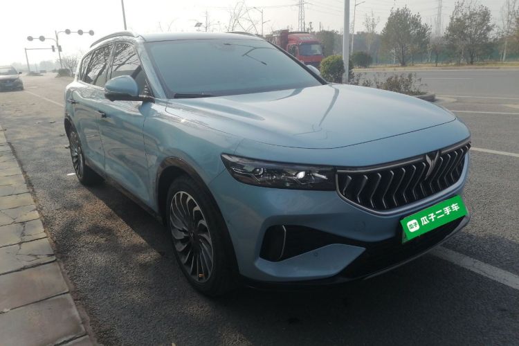 岚图汽车 岚图FREE 2021款 四驱标准增程专属豪华套装车身外观3