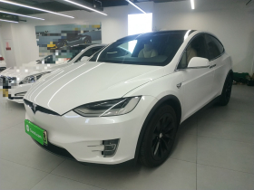 特斯拉 Model X 2019款 Performance 高性能版