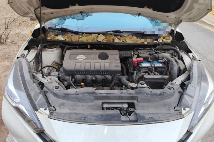 日产 蓝鸟 2016款 1.6L CVT智酷版局部细节24