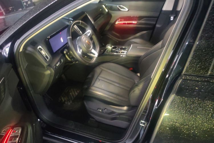 红旗HS3 PHEV 2024款 PHEV 115km 劲为版局部细节19