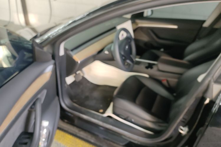 特斯拉 Model 3 2021款 标准续航后驱升级版 3D6中控内饰7003
