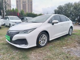 丰田 亚洲狮 2021款 2.0L 豪华版