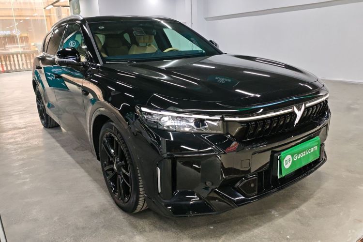 岚图汽车 岚图FREE 2024款 超长续航智驾版车身外观3