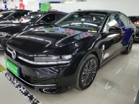 大众 迈腾 2024款 380TSI DSG尊贵版大迈包