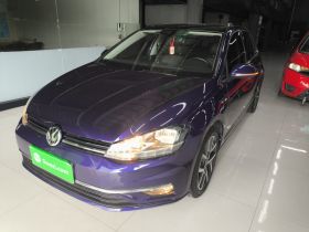 大众 高尔夫 2018款  230TSI 自动豪华型