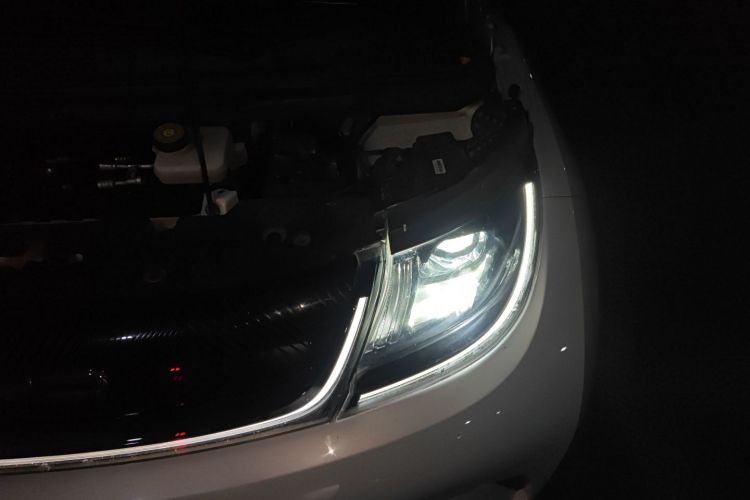 比亚迪 海豚 2021款 401km 骑士版局部细节9007