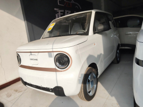吉利银河 2024款 熊猫mini 200km 耐力熊