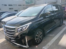 广汽传祺 传祺M8 2023款 领秀系列 390T 尊享版