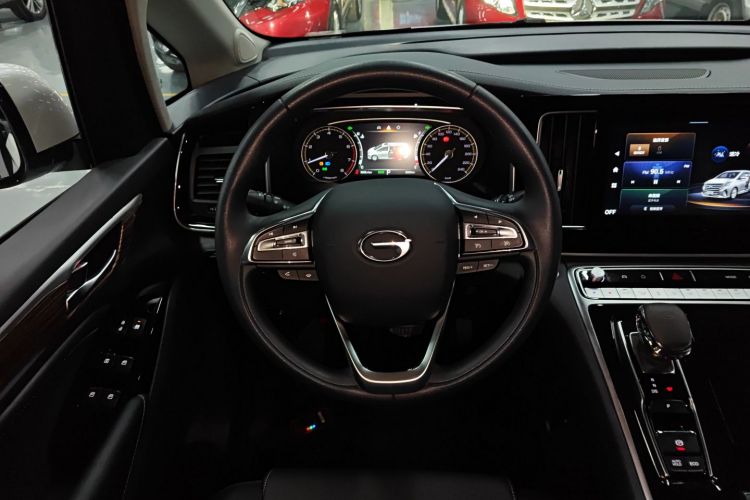 广汽传祺 传祺M8 2024款 领秀系列 390T 豪华版局部细节13