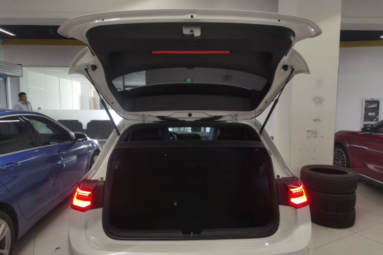 大众 高尔夫 2021款 280TSI DSG R-Line局部细节23