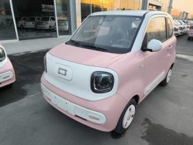 奔腾小马 2024款 170km 元气马