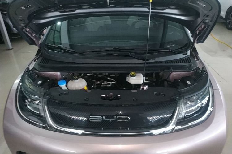 比亚迪 海豚 2021款 401km 骑士版局部细节24