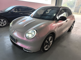 欧拉好猫 2021款 400km标准续航 雅典娜版 三元锂