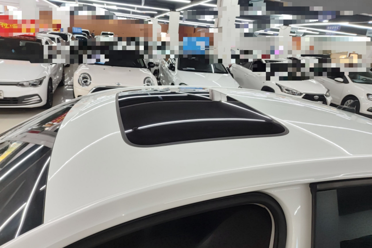 大众 朗逸 2023款 280TSI DSG星空满逸版局部细节57