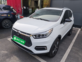 比亚迪 元新能源 2019款 EV535 高能领航版