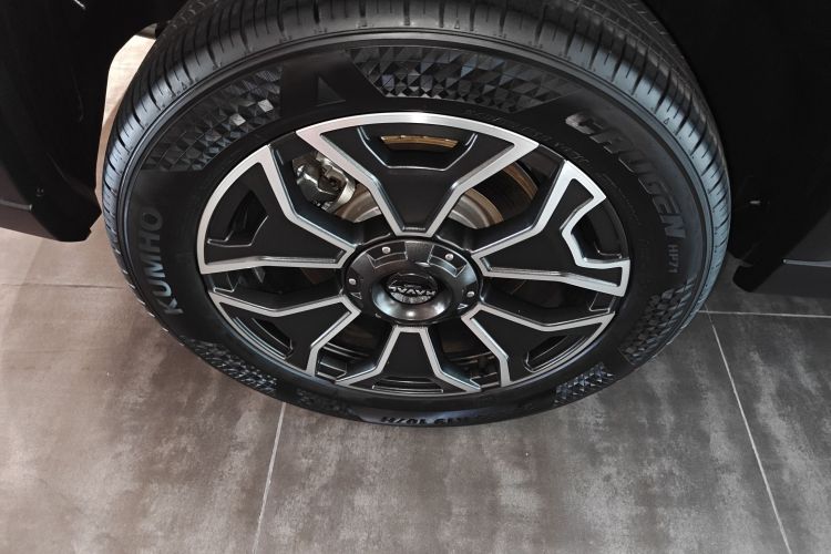 哈弗大狗 PLUS 新能源 2024款 Hi4 102km 潮电版Plus车身外观6008