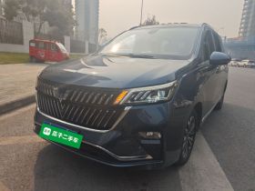 五菱汽车 五菱佳辰 2022款 1.5T CVT尊享旗舰型