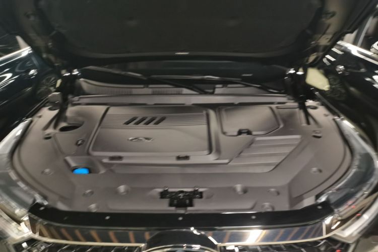 奇瑞 瑞虎8 PRO 2024款 冠军版 390T 两驱傲视版 7座局部细节24