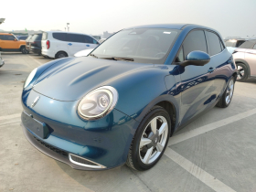 欧拉好猫 2021款 400km标准续航 维纳斯版 磷酸铁锂