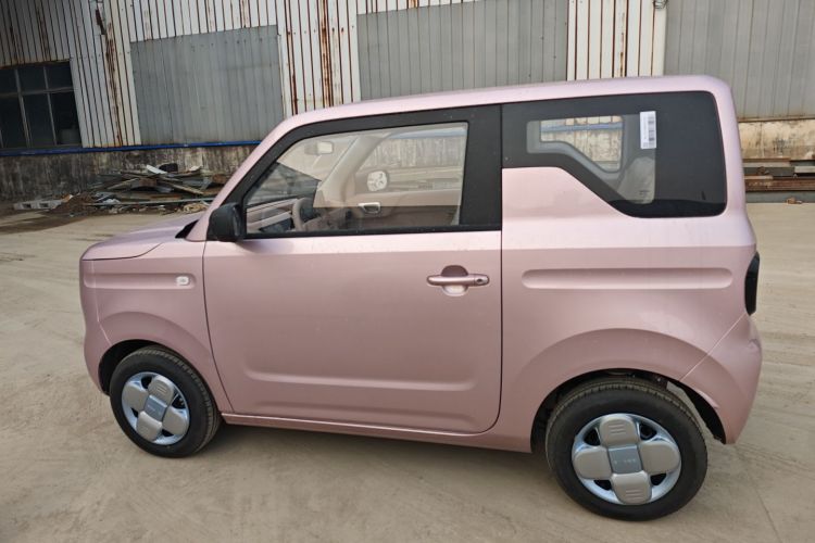 吉利银河 2024款 熊猫mini 200km 耐力熊车身外观4