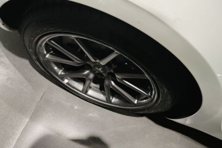 特斯拉 Model 3 2020款 改款 标准续航后驱升级版车身外观6008