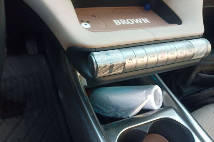 比亚迪 海豚 2024款 荣耀版 420km 自由版中控内饰18