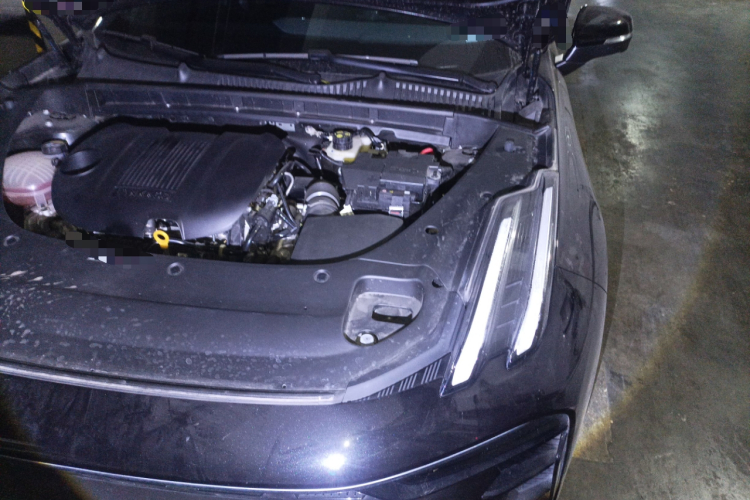 领克03 2023款 1.5TD DCT劲Pro局部细节9007