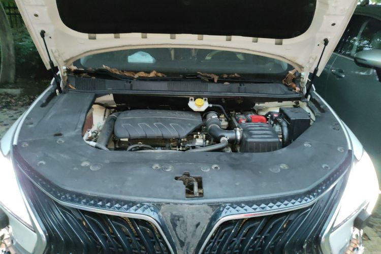 东风风行 风行游艇 2022款 1.5T DCT揽月版局部细节24