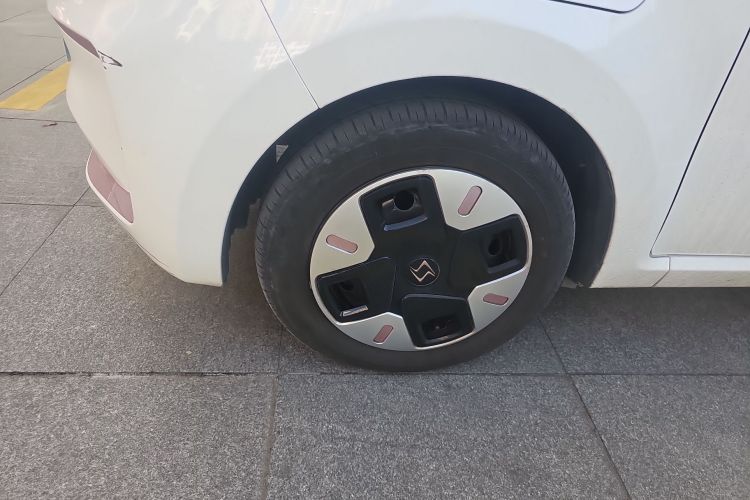 思皓 2022款 花仙子款 四叶草车身外观6007