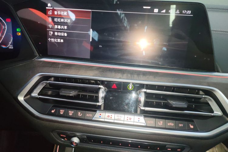 宝马X5(进口) 2020款 xDrive30i M运动套装局部细节16