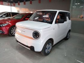 吉利银河 2023款 熊猫mini 200km 耐力熊