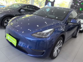 特斯拉 Model Y 2021款 标准续航后驱版
