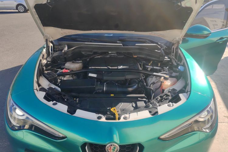 阿尔法·罗密欧 Stelvio斯坦维 2017款 2.0T 200HP 豪华版局部细节24