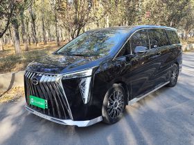 广汽传祺 传祺E9 2023款 E9 冠军版